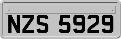 NZS5929