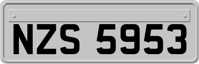 NZS5953