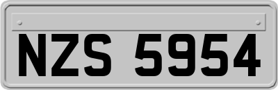 NZS5954