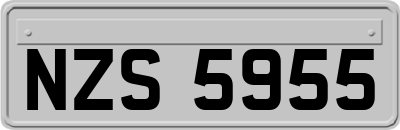 NZS5955