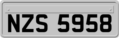 NZS5958