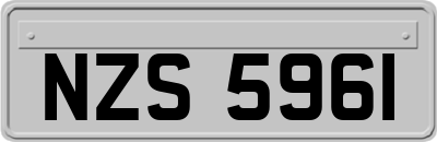 NZS5961