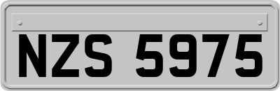 NZS5975