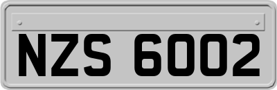 NZS6002