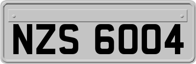 NZS6004