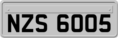 NZS6005