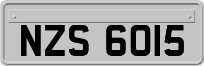 NZS6015