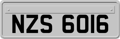 NZS6016