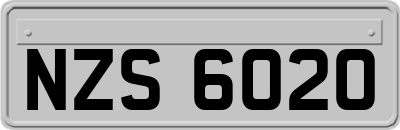 NZS6020