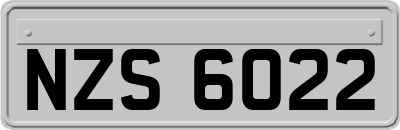 NZS6022