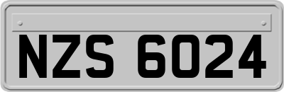 NZS6024