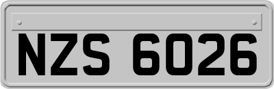 NZS6026