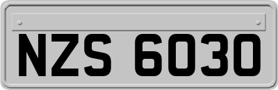 NZS6030