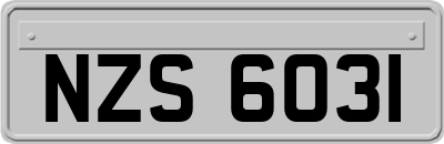 NZS6031