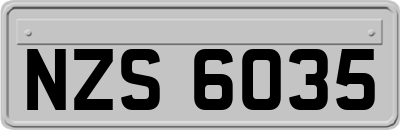 NZS6035