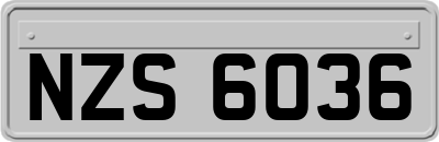NZS6036