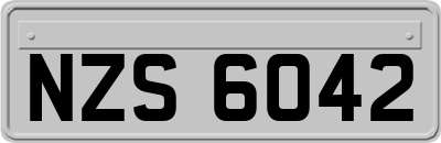 NZS6042