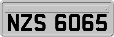NZS6065
