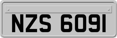 NZS6091