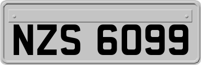NZS6099