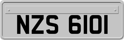NZS6101