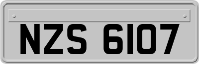 NZS6107