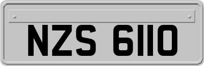NZS6110