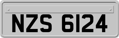 NZS6124