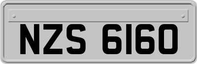 NZS6160