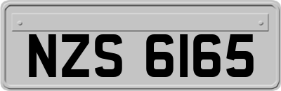 NZS6165