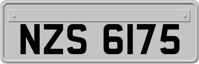 NZS6175