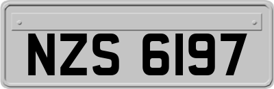 NZS6197