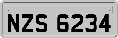 NZS6234