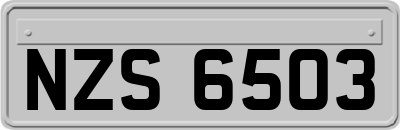 NZS6503