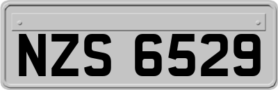 NZS6529
