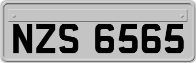 NZS6565