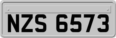 NZS6573