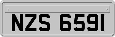 NZS6591