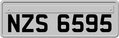 NZS6595