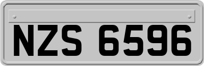 NZS6596