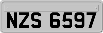 NZS6597