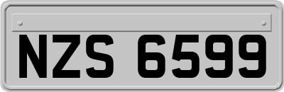 NZS6599
