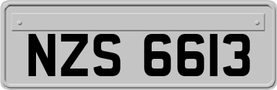 NZS6613