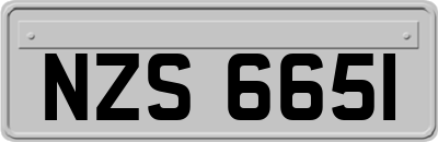 NZS6651