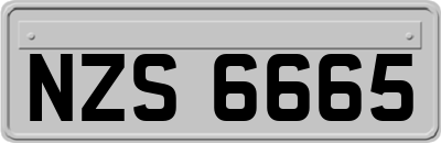 NZS6665