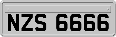 NZS6666
