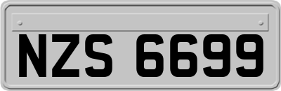 NZS6699