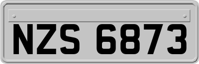 NZS6873