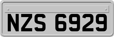 NZS6929