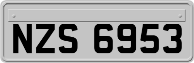 NZS6953